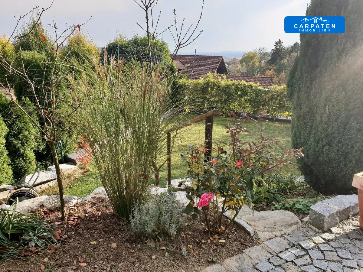 Garten 5